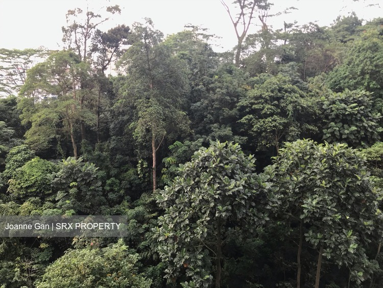 Regent Heights thumbnail photo